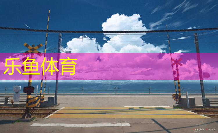 乐鱼体育官方网站,打网球网球视角